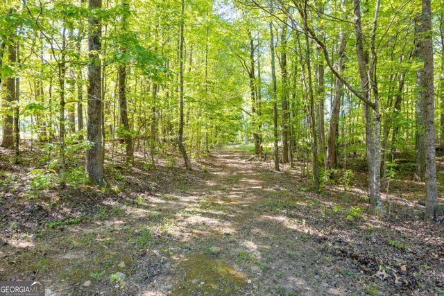 8277 Buchanan Highway, Dallas, GA 30157