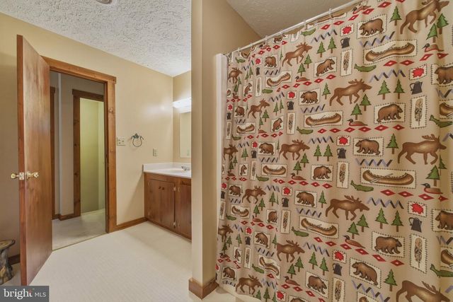 309 LOCUST LN, Mount Jackson, VA 22842