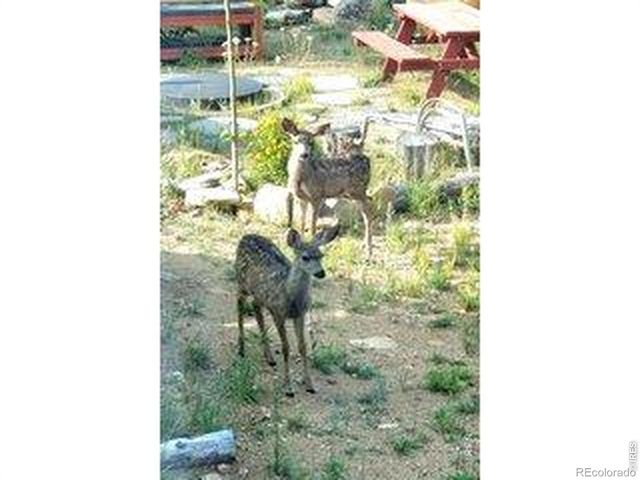 534 Blackfoot Road, Red Feather Lakes, CO 80545