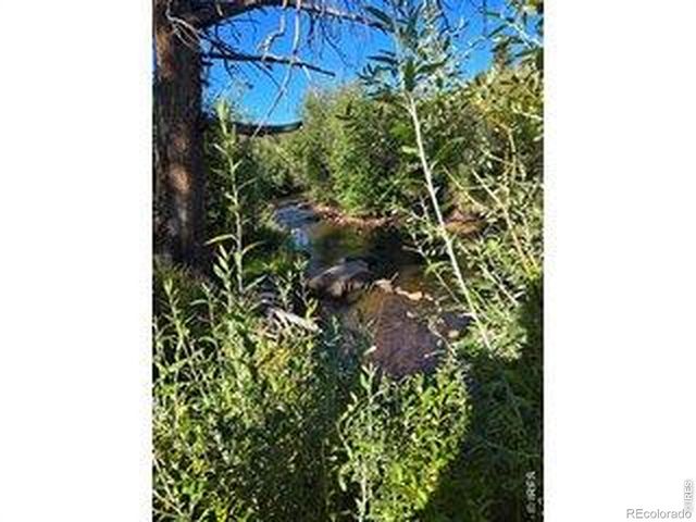 534 Blackfoot Road, Red Feather Lakes, CO 80545