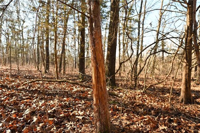 21775 S 725th Road, Stockton, MO 65785