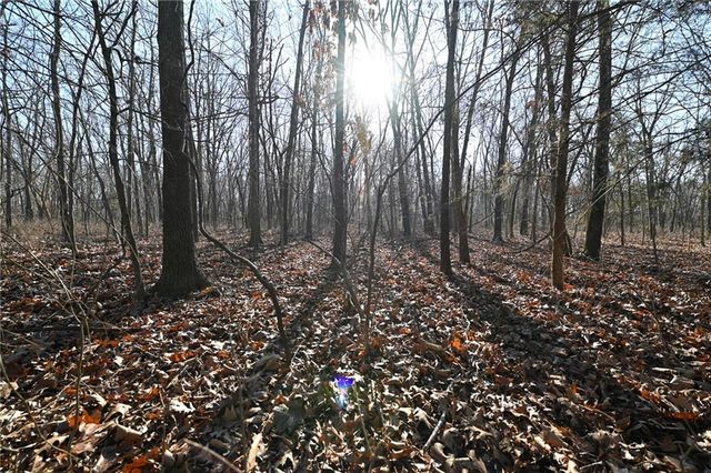 21775 S 725th Road, Stockton, MO 65785