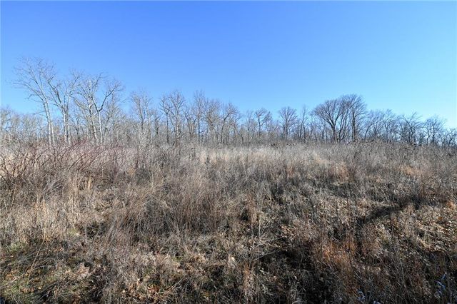 21775 S 725th Road, Stockton, MO 65785