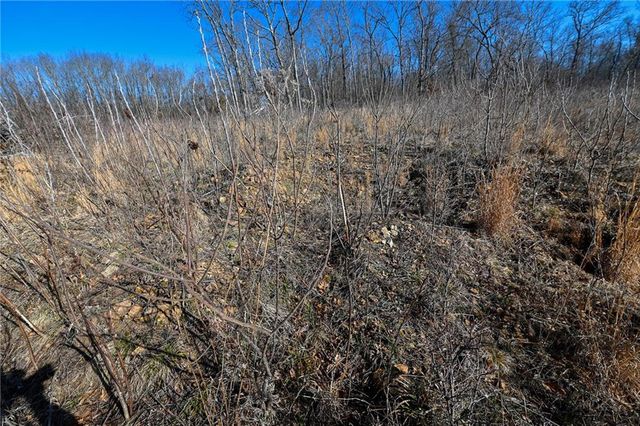 21775 S 725th Road, Stockton, MO 65785