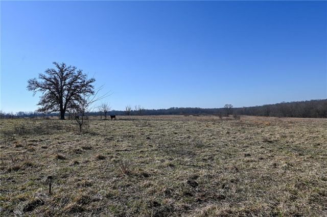 21775 S 725th Road, Stockton, MO 65785