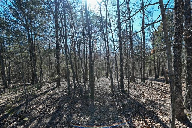 21775 S 725th Road, Stockton, MO 65785