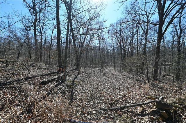 21775 S 725th Road, Stockton, MO 65785