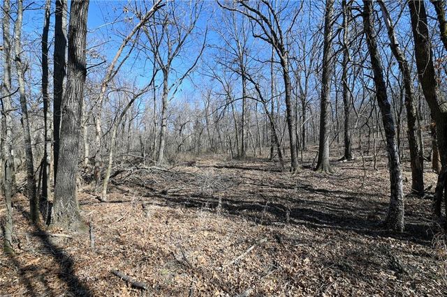 21775 S 725th Road, Stockton, MO 65785