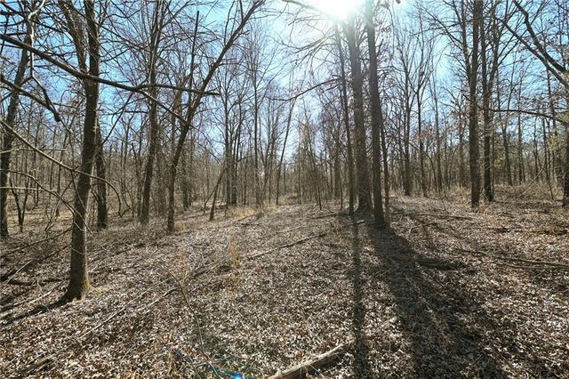 21775 S 725th Road, Stockton, MO 65785