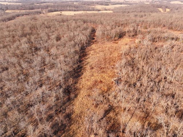 21775 S 725th Road, Stockton, MO 65785