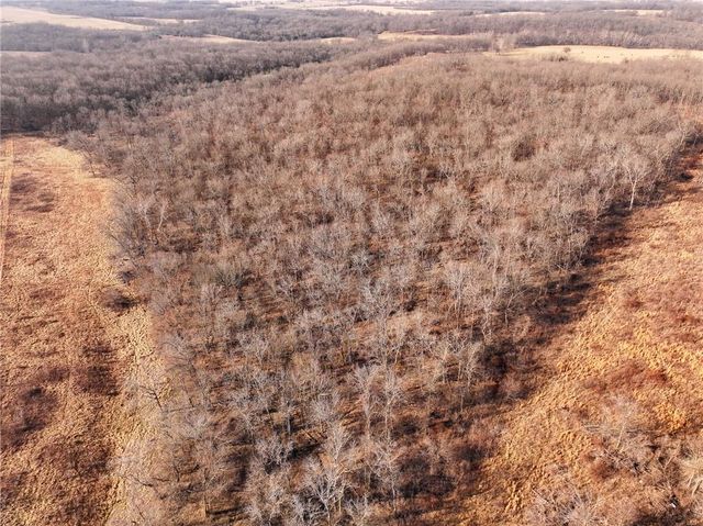 21775 S 725th Road, Stockton, MO 65785