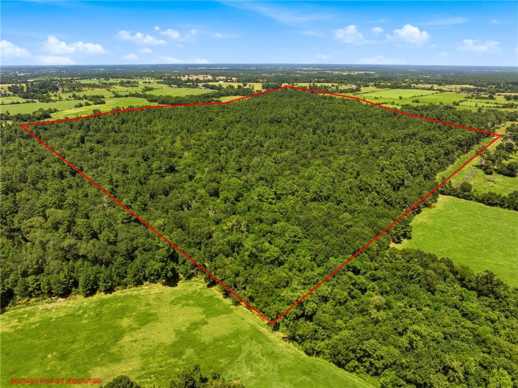 118.25 Acres CR 278C, Anderson, TX 77830 — exterior