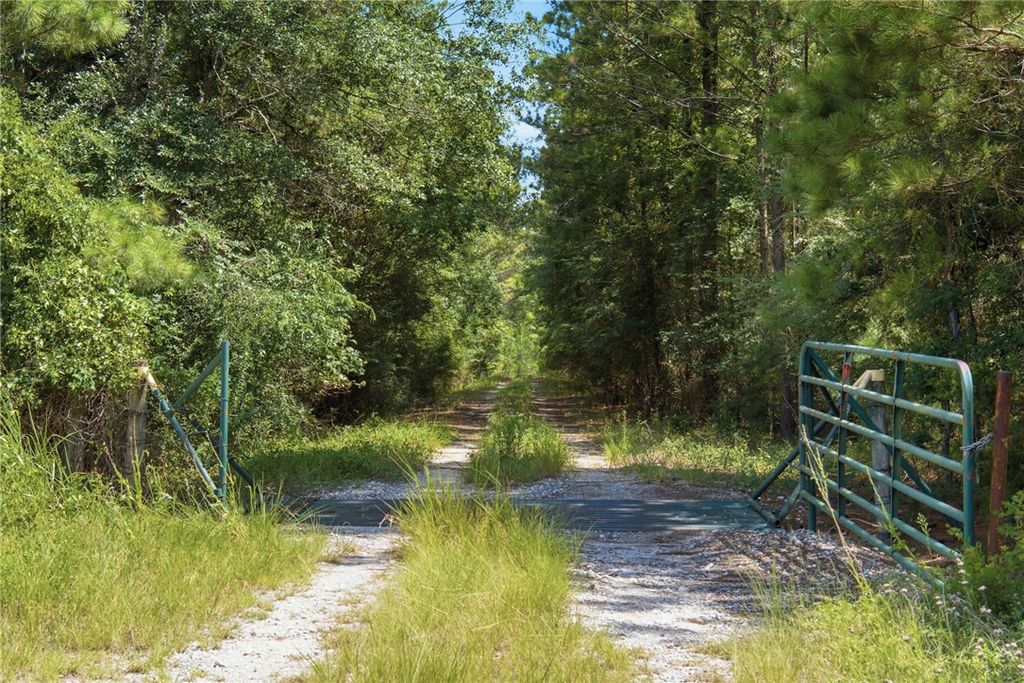 118.25 Acres CR 278C, Anderson, TX 77830 — photo 4