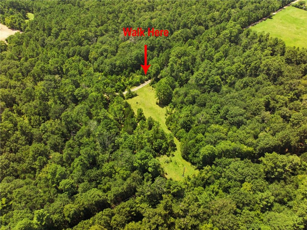 118.25 Acres CR 278C, Anderson, TX 77830 — photo 5