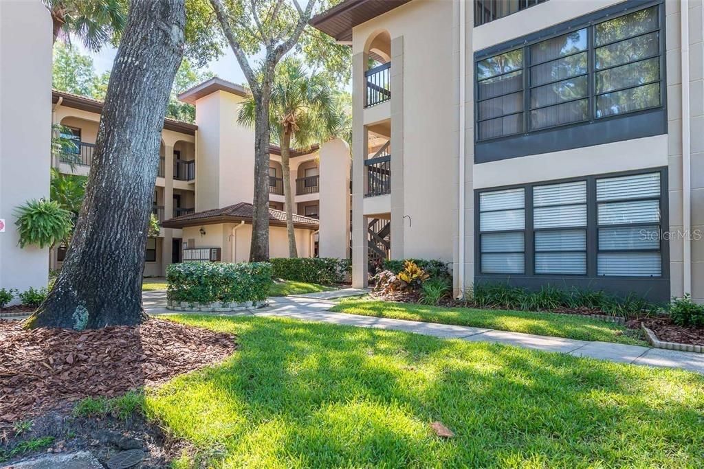 3399 MERMOOR DRIVE 206, Palm Harbor, FL 34685