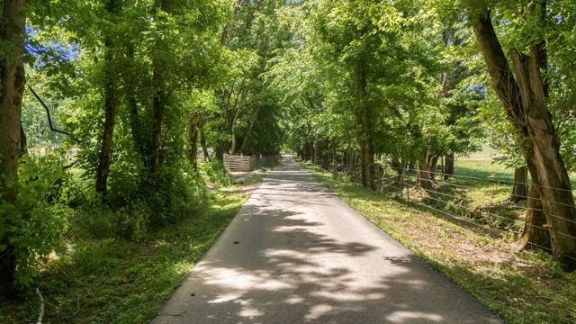 4303 Moore Ln, Culleoka, TN 38451