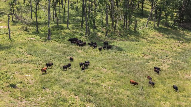 4303 Moore Ln, Culleoka, TN 38451