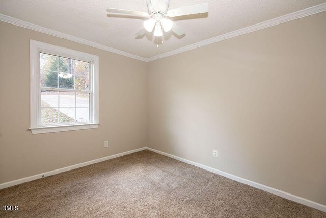 2428 Rachel Drive, Wake Forest, NC 27587