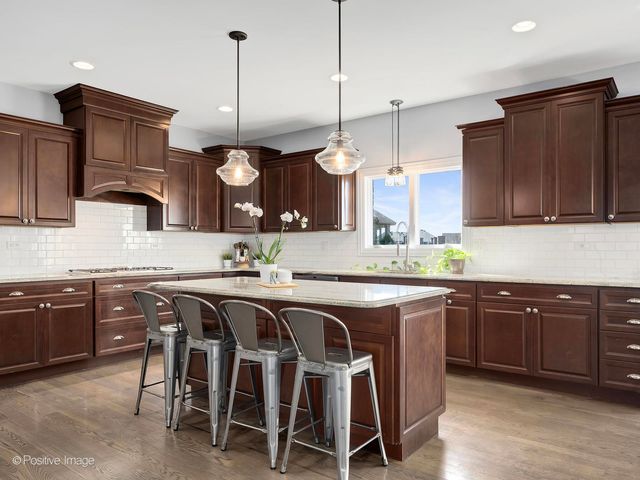 21580 Skyway Drive, Mokena, IL 60448