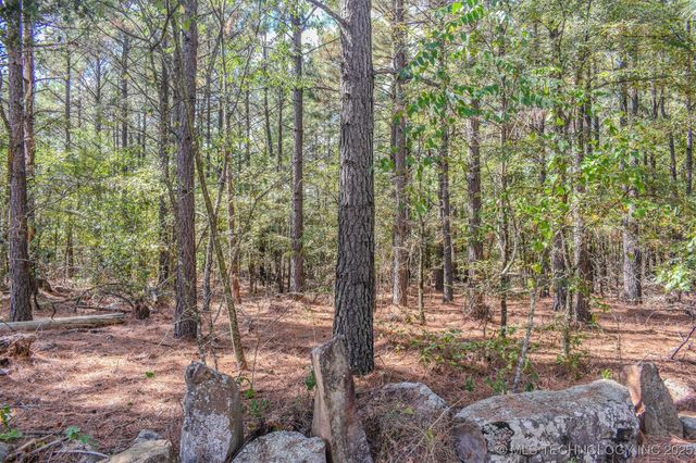 414041 E 1878 Road, Antlers, OK 74523