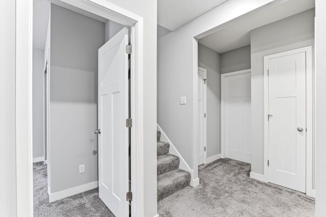 4225 Corn Silk Way, Woodbury, MN 55129
