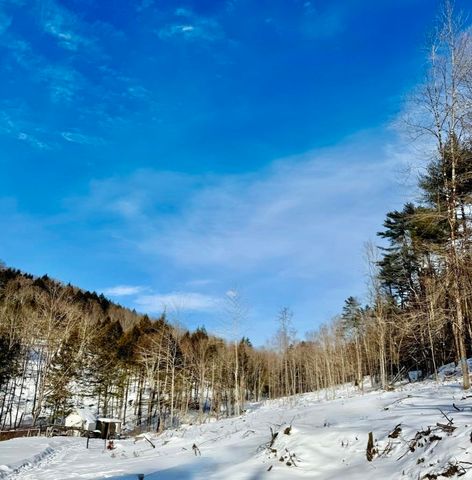 266 Tory Hill Road, Langdon, NH 03602