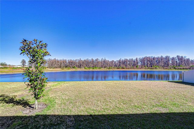 10422 GLIDING EAGLE WAY, Land O Lakes, FL 34638