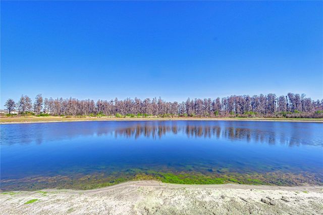 10422 GLIDING EAGLE WAY, Land O Lakes, FL 34638