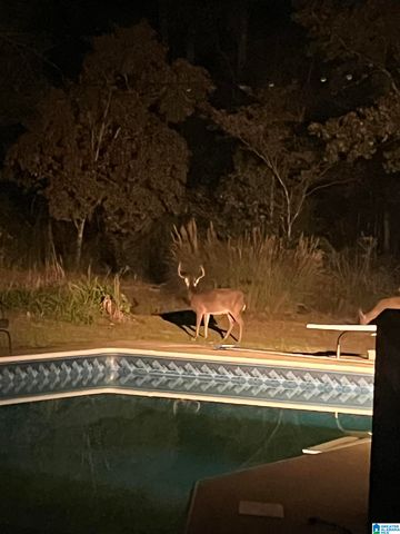 1925 HIGHWAY 48, Wilsonville, AL 35186