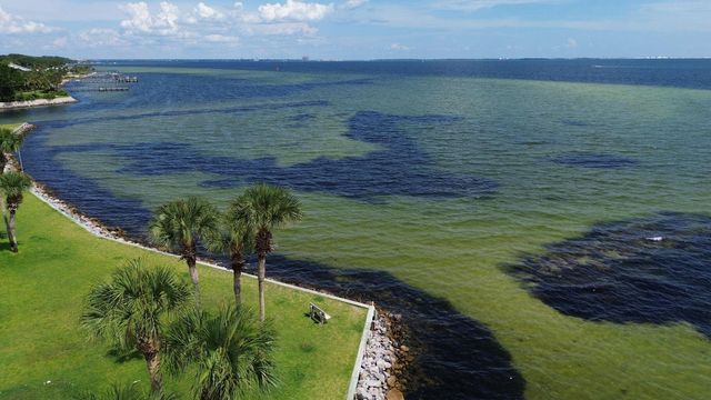 101 Old Ferry Road 12B, Shalimar, FL 32579