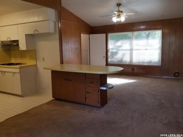 214 BEECHWOOD AVE, Universal City, TX 78148