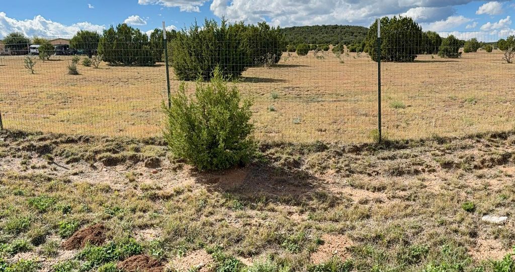 0 Casper Court, Moriarty, NM 87035
