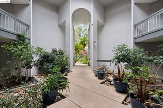 1591 Ellis St 105, Concord, CA 94520