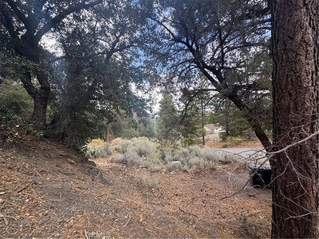 1772 Ash Road, Wrightwood, CA 92397