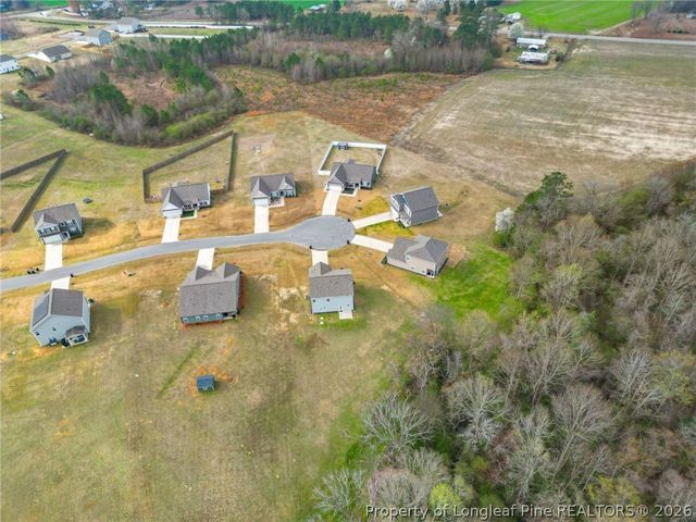 206 Clyde Dog Court, Lillington, NC 27546