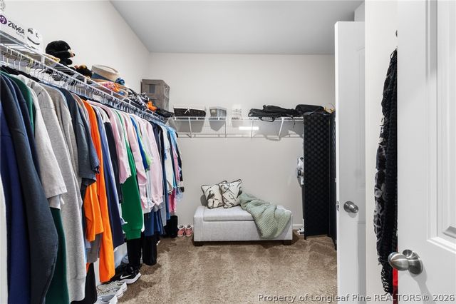 206 Clyde Dog Court, Lillington, NC 27546