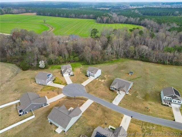 206 Clyde Dog Court, Lillington, NC 27546