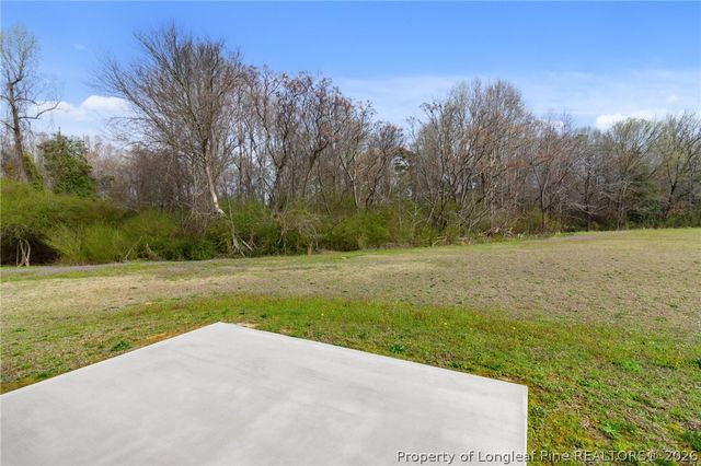 206 Clyde Dog Court, Lillington, NC 27546