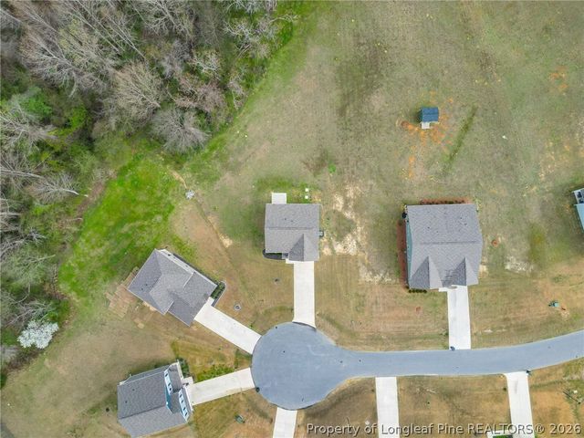 206 Clyde Dog Court, Lillington, NC 27546