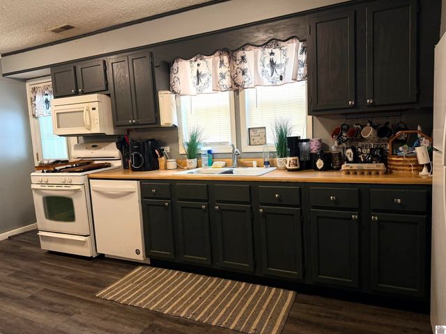 12901 Woodville Road, Kevil, KY 42053