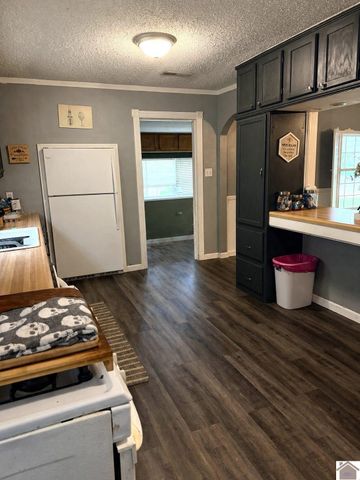 12901 Woodville Road, Kevil, KY 42053