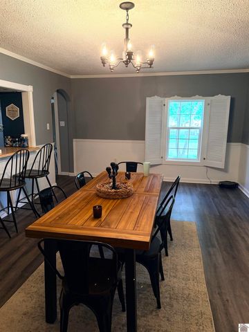 12901 Woodville Road, Kevil, KY 42053