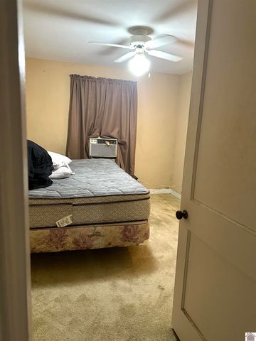 12901 Woodville Road, Kevil, KY 42053