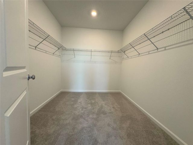 3127 MINDFULLNESS DRIVE, Clermont, FL 34714