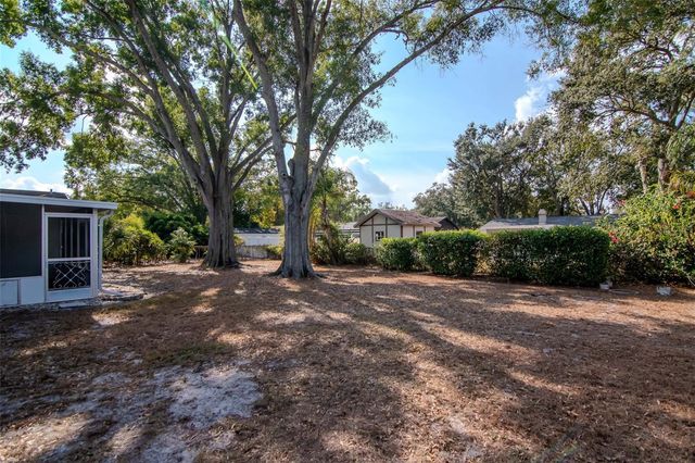 12724 CARTE DRIVE, Tampa, FL 33618