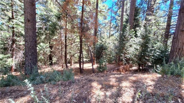 0 Cedar Pines, Cedarpines Park, CA 92322