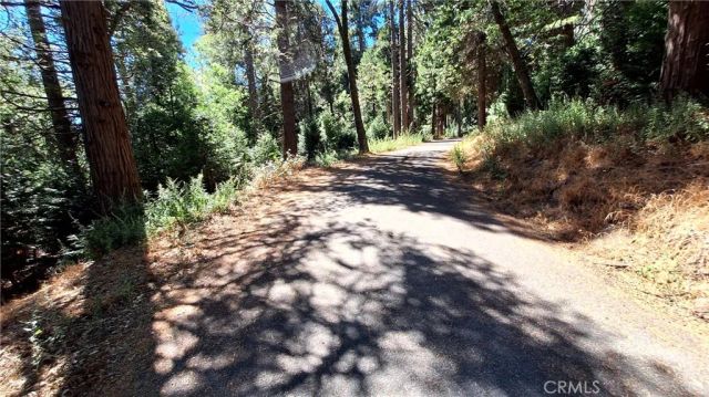0 Cedar Pines, Cedarpines Park, CA 92322