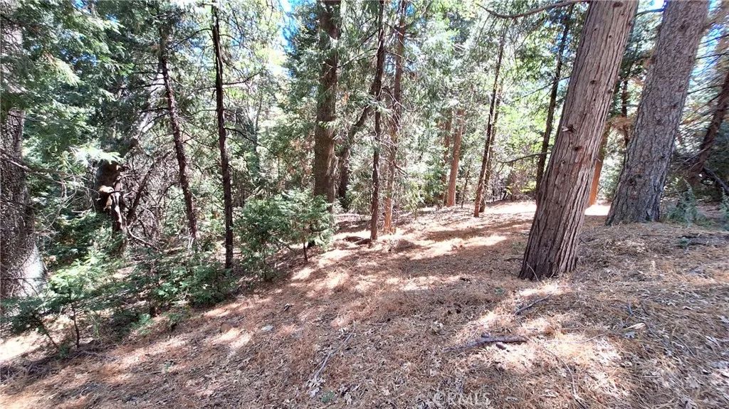 0 Cedar Pines, Cedarpines Park, CA 92322