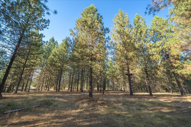 31515 N Cedar Rd, Deer Park, WA 99006