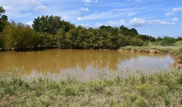 190 Private Road 408, Buffalo, TX 75831